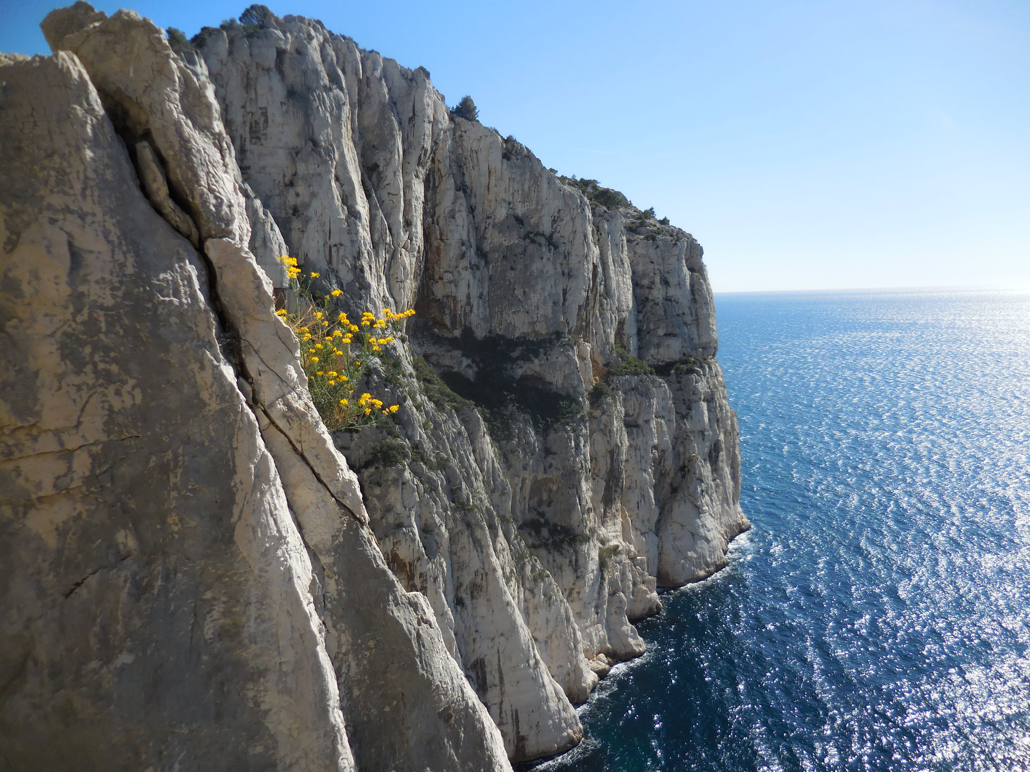 D33B0227-8FDC-4293-A1A1-A9F7CE5C25A2